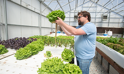 A male student holds up a head of lettuce grown in an aquaponics system in the greenhouses at Cal Poly Pomona