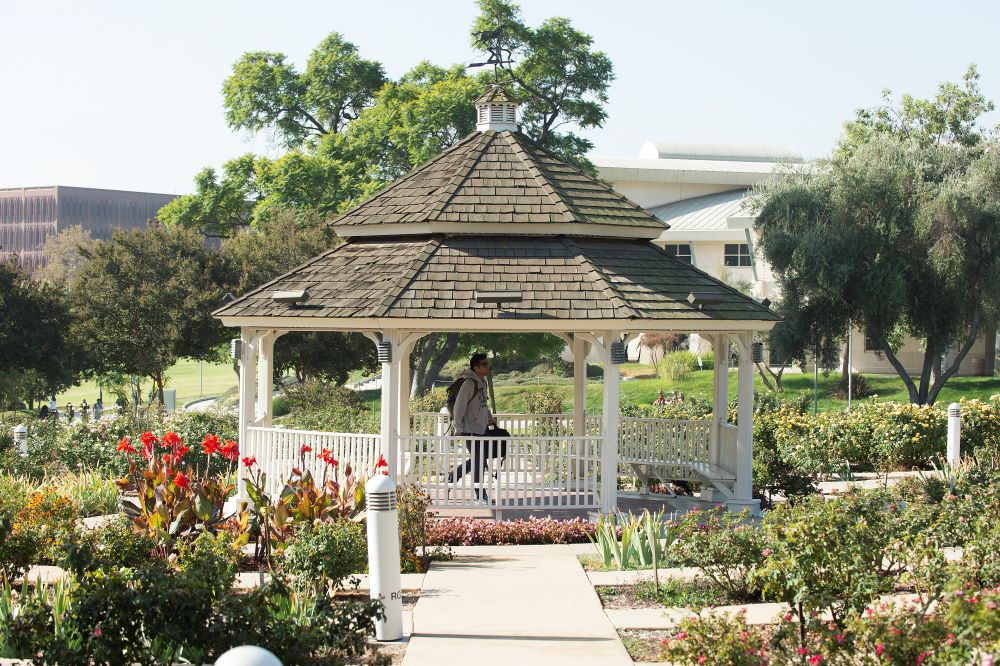 Student walks in Rose Garden gazebo