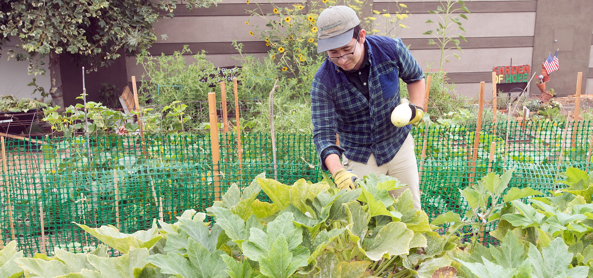 Student checking on vegetable plants