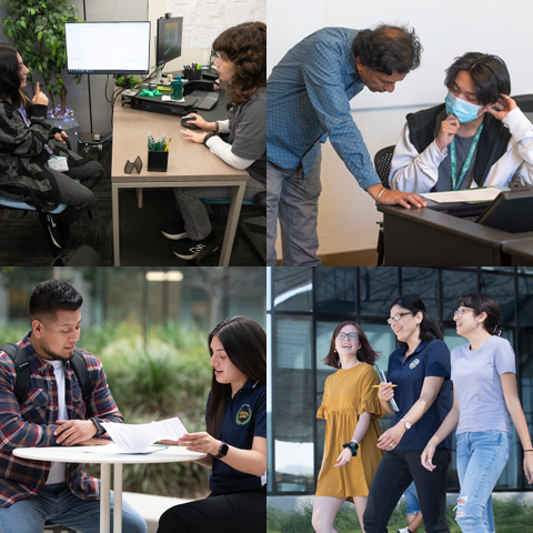 Collage of four advising experiences: a female student works with a female advisor in their office. A male faculty member is looking at a male student's paper. A male student and female advisor are looking at papers on a table. A female advisor and two female students walk together outside the Student Services Building.